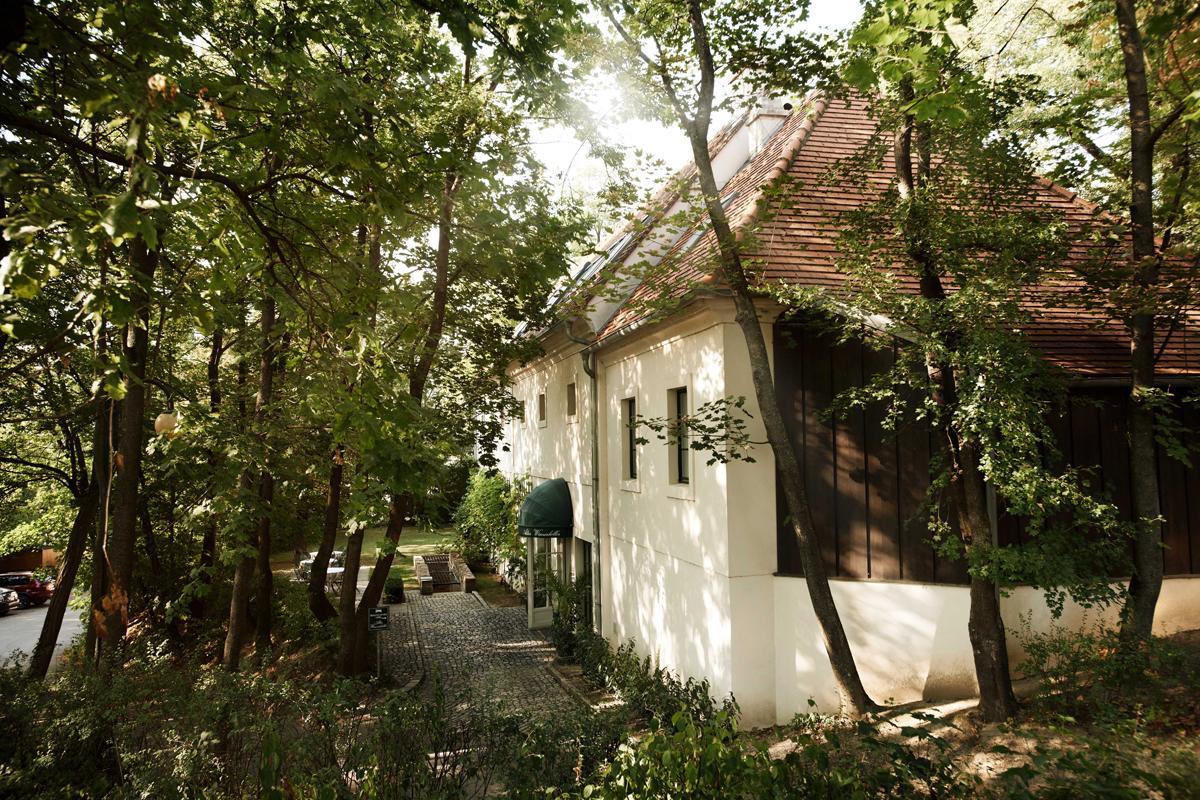 Alter Winzerkeller Bed & Breakfast Kirchberg am Wagram Bagian luar foto